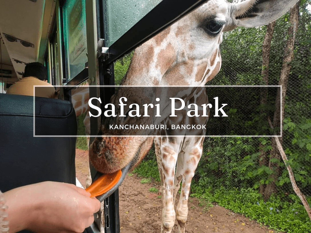 Safari Park Experience in Kanchanaburi